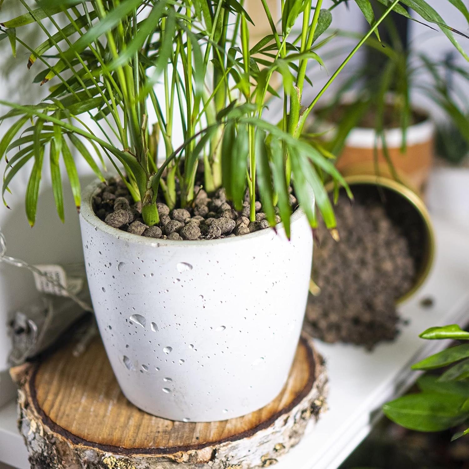 Browin 749950 Keramsit - Blähton 4 L, 10-20 mm, braun