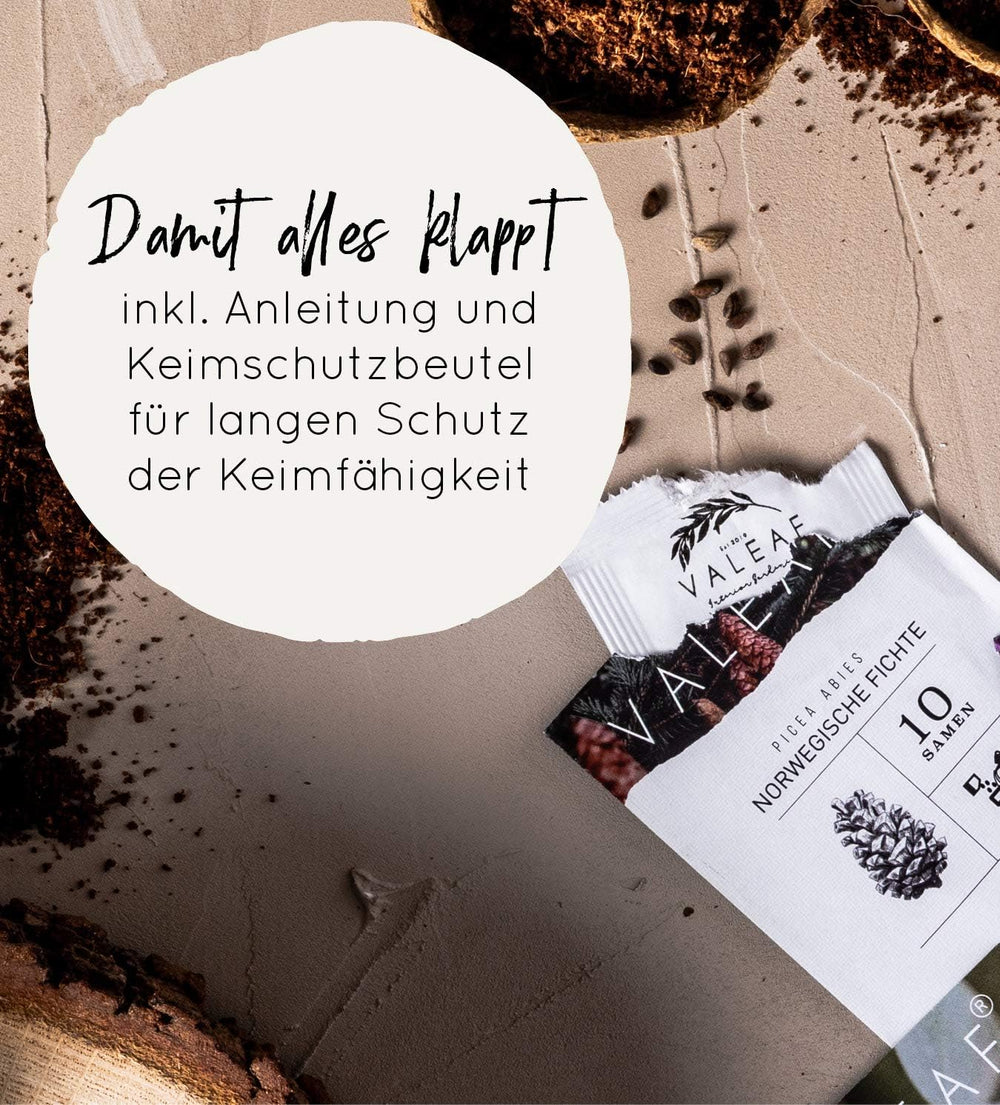 10 Bonsai-Samen aus 5 Kontinenten | Exotische Baumsamen für Ihren einzigartigen Bonsai | Starter-Kit und Pflanzenliebhaber | Unser Bonsai-Set als besondere Geschenkidee