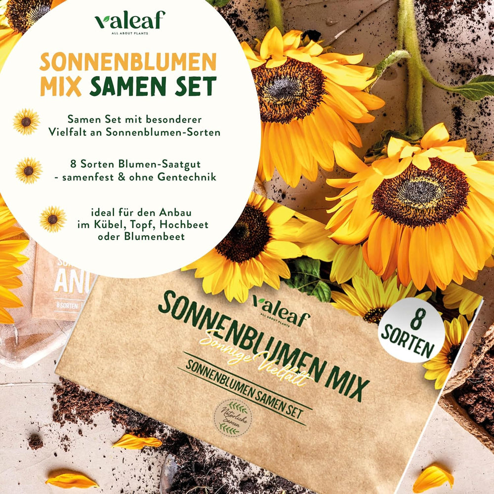 Sonnenblumenkern-Set - 8 Sorten Sonnenblumenkerne - Sonnenblumenkerne im praktischen Pflanzset - Sommerblumensamen, Wildblumenmischung - Blumensamen zum Einpflanzen