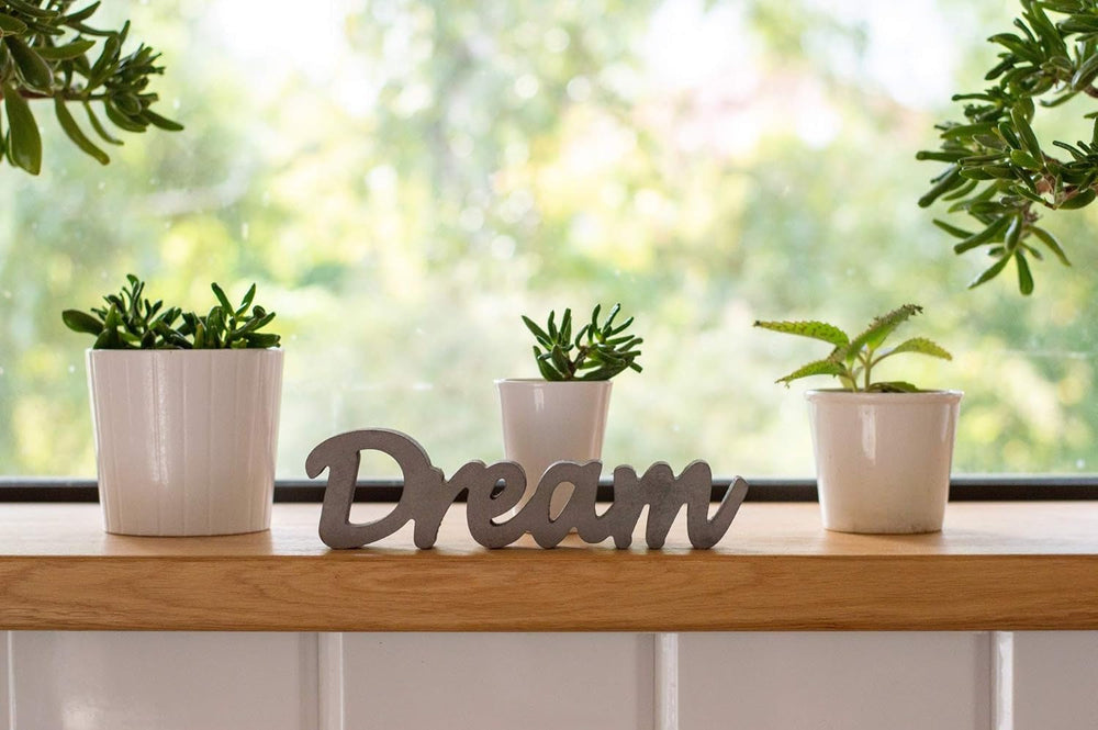1L Lewatit HD-50, granule de îngrășământ hidroponic de înaltă calitate, pe termen lung, perfect pentru toate plantele ornamentale, efect pe termen lung de până la 6 luni
