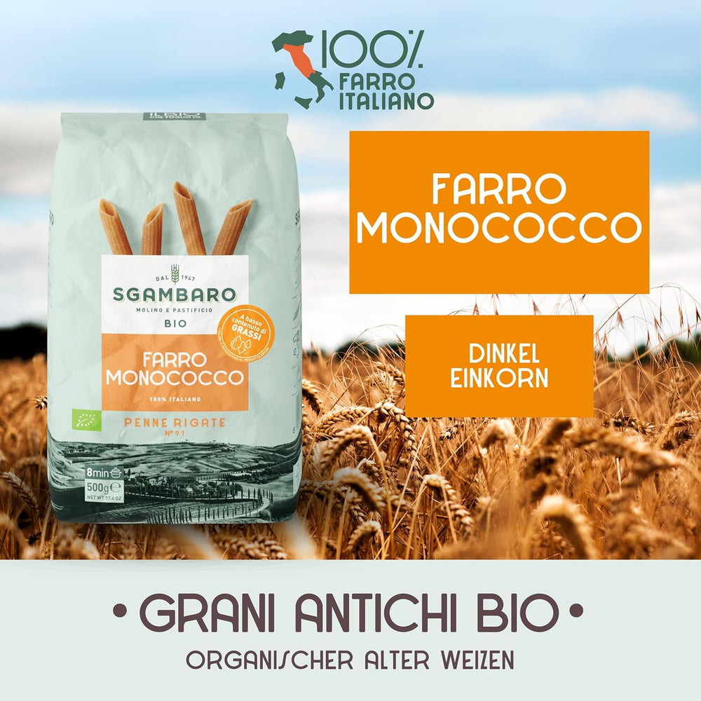 Bio-Penne-Rigate-Nudeln N.91 – 500 g Fettarme Weizennudeln – Quelle für Ballaststoffe und Proteine