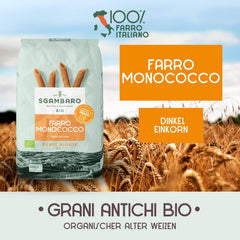 Bio-Penne-Rigate-Nudeln N.91 – 500 g Fettarme Weizennudeln – Quelle für Ballaststoffe und Proteine