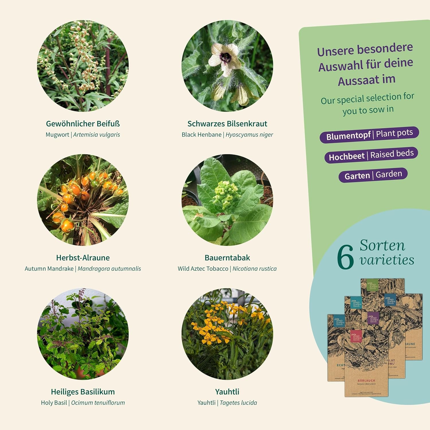 Magic Garden Seeds – Verzauberte Pflanzen mit 6 magischen Kräutern: Wermut, Wermut, Alraune und mehr – Räucherpflanzen zum Selberanbauen und Verschenken