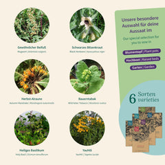 Magic Garden Seeds – Verzauberte Pflanzen mit 6 magischen Kräutern: Wermut, Wermut, Alraune und mehr – Räucherpflanzen zum Selberanbauen und Verschenken