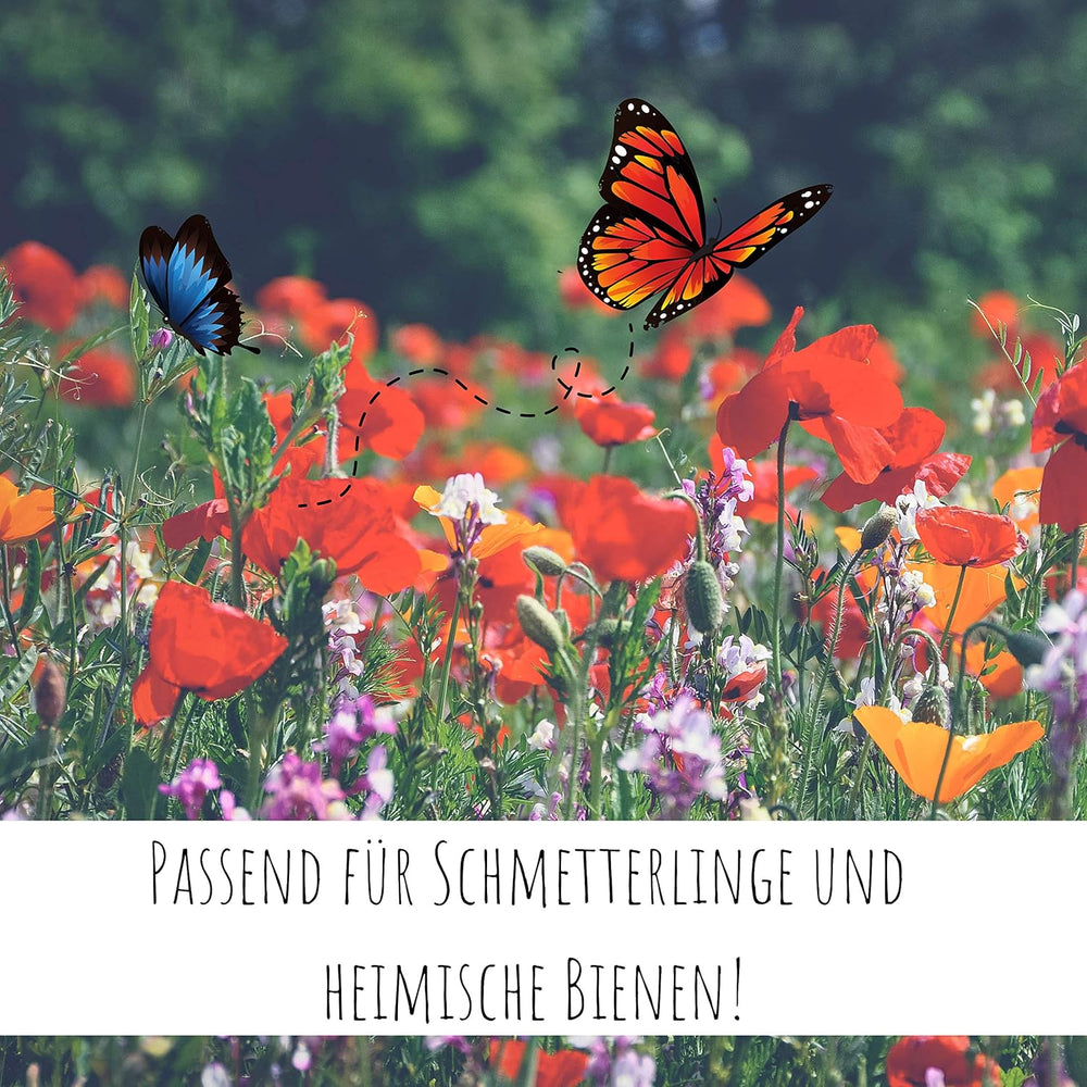 100g Schmetterlingssamen für eine bunte Blumenwiese – Bunte und nektarreiche Wildblumensamenmischung für Schmetterlinge