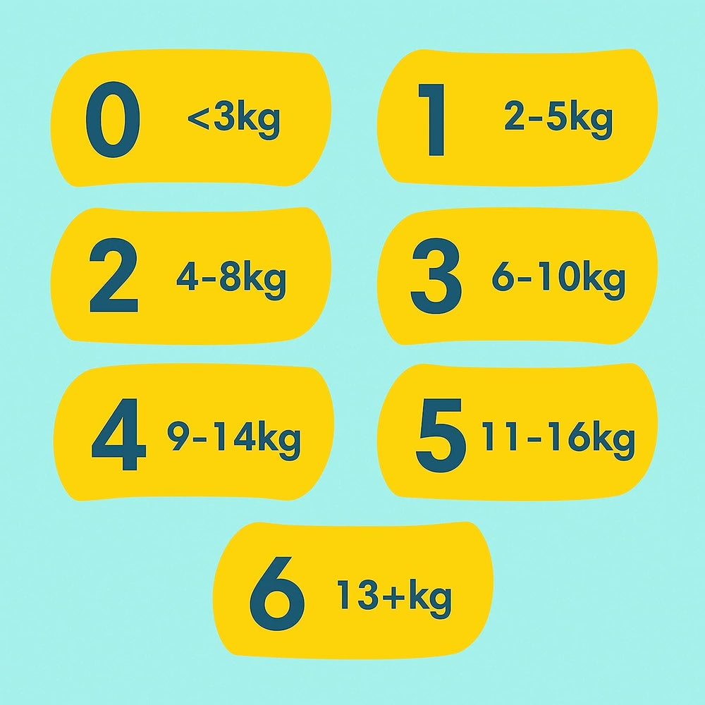 Premium Protection Starter Pack 1 und Aqua-Feuchttücher