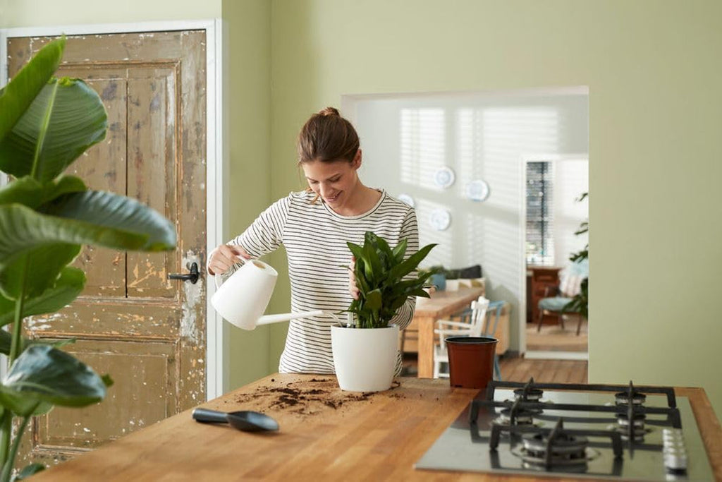 Sistem de auto-udare elho 36 - Accesorii și accesorii de interior - Ø 36,0 x Î 34,5 cm - Negru/Negru viu