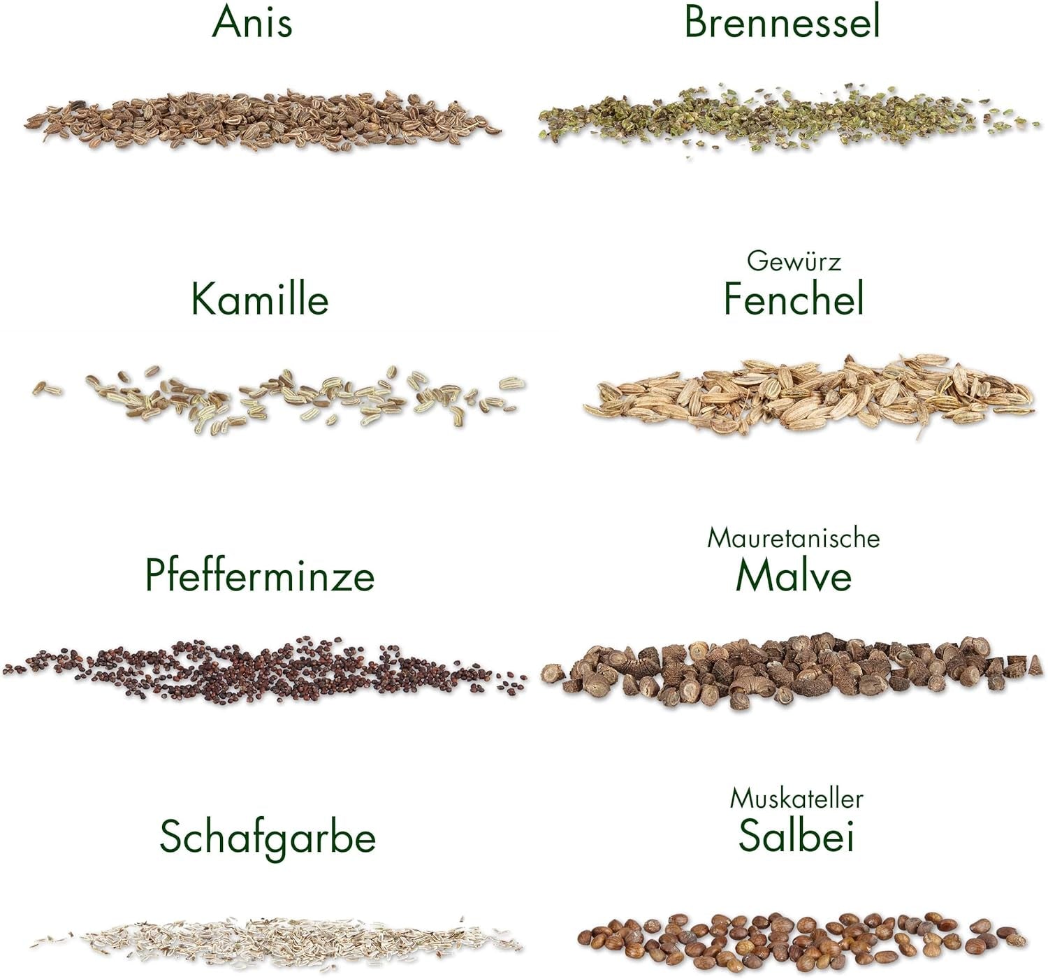 Teesamen-Set: 8 Sorten Samen für Balkon und Garten - Minze, Kamille, Anis, Brennnessel, Malve - Pflanzensamen - Tee - Teebox - OwnGrown-Pflanzen