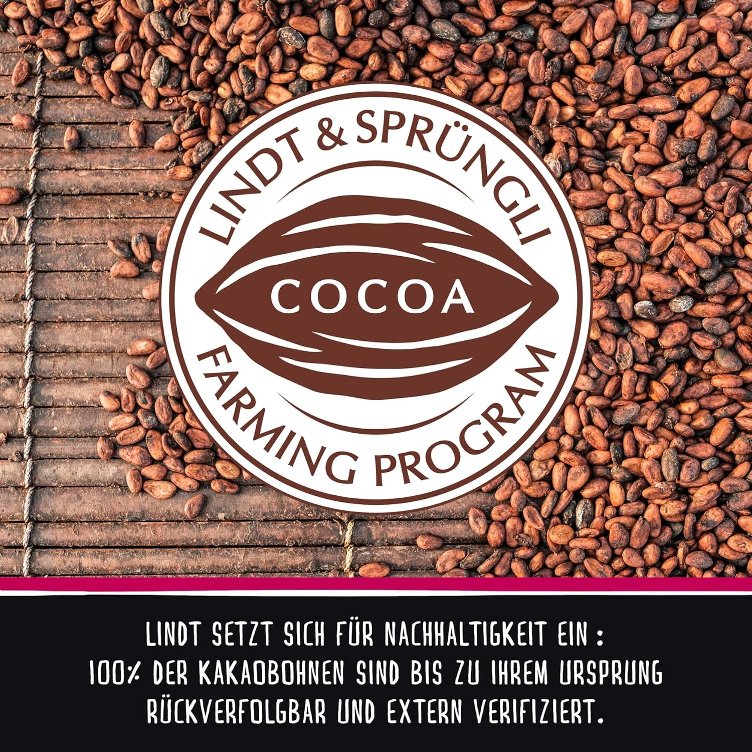 Lindt-Schokolade | HALLO Mini-Weihnachtsmann | 50g | 5 Mini Moși Moși (je 10g) aus feiner Vollmilchschokolade | Weihnachtliche Schokoladenfiguren für Groß und Klein