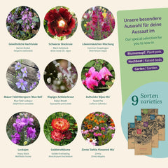 Magic Garden Seeds – Blumen-Nostalgie-Samen-Set – 9 traditionelle Sommerblumen im rustikalen Gartenstil – duftend, farbenfroh und nostalgisch – Geschenkidee für Gartenliebhaber