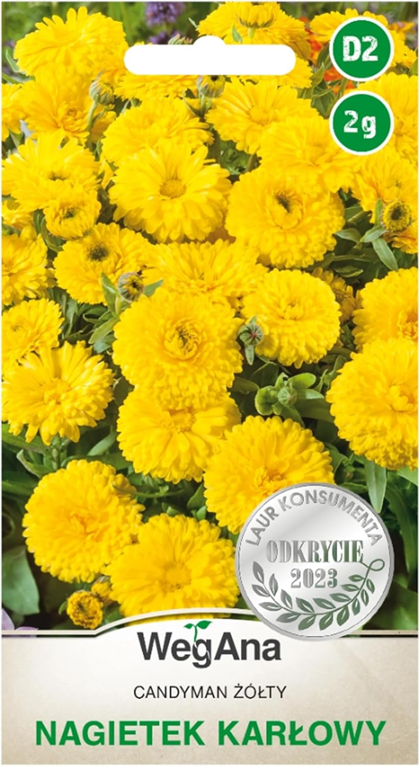 Cosmos Sensation Mix 1g Samen, Cosmos Mix Sommerblumen, Gartenpflanzen Balkonpflanzen, Blumensamen