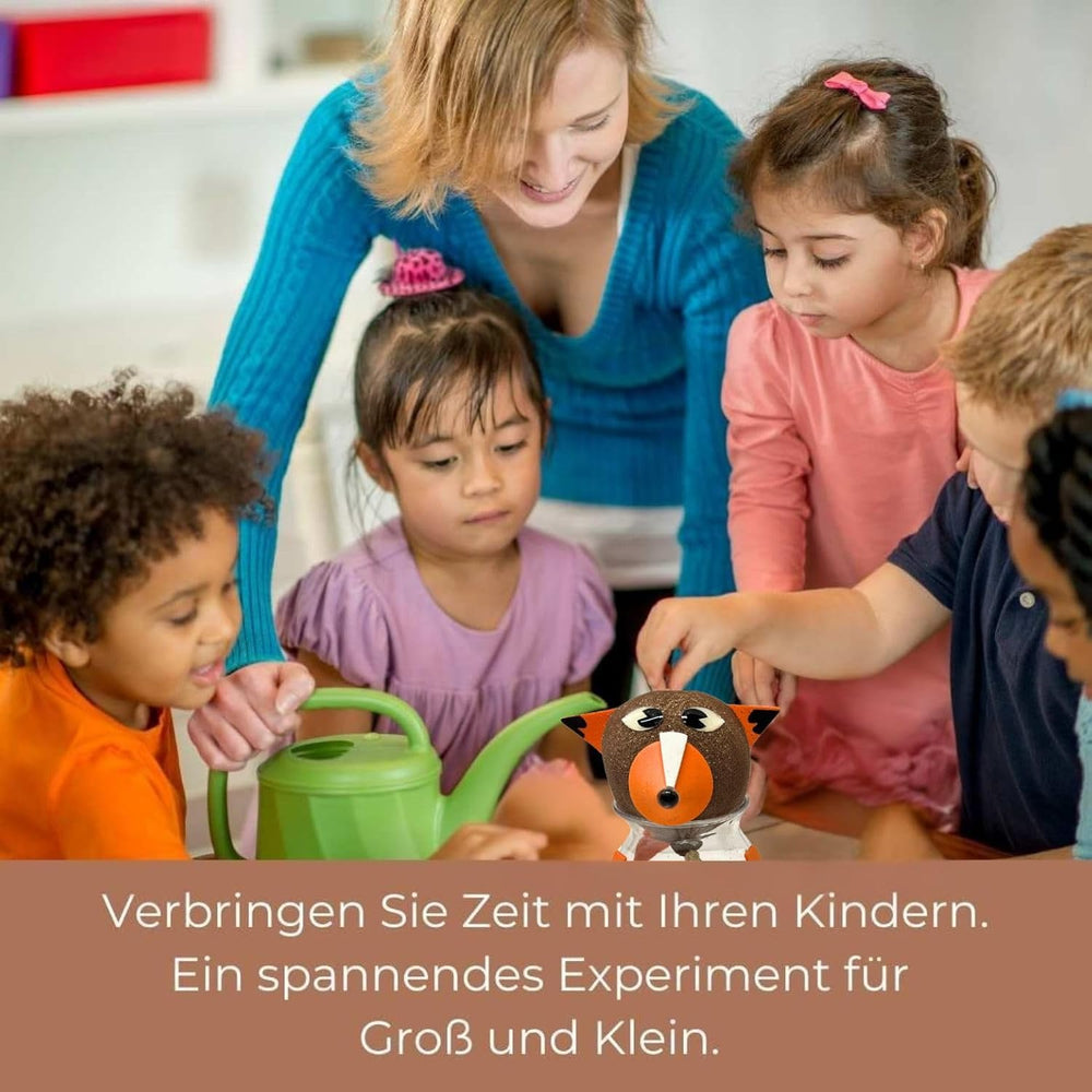 Bada Bing Graskopf 4er Set inkl. Wasserbehälter Waldtiere DIY Tiere – Rasenkopf Tierkopf mit Rasensamen – Experiment für Kinder – Spaß mit Lerneffekt – Geschenk Mitbringsel Kindergeburtstag Mitgebsel