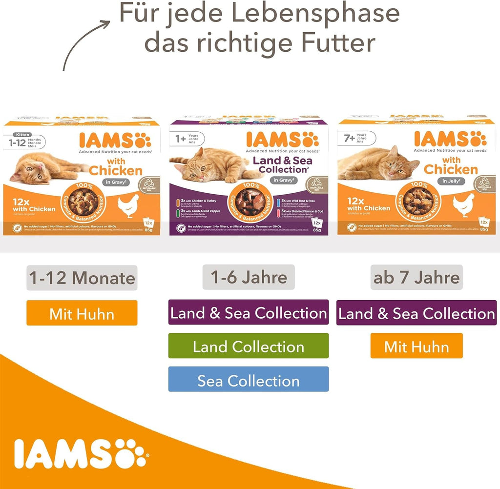 IAMS Delights Kitten Hrană umedă - Multipack Hrană pentru pisici cu pui în sos, hrană de înaltă calitate pentru pisoi junior de la 1-12 luni, 12 X 85G