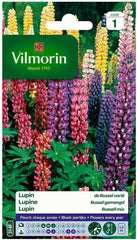 : Lupin De Russel Varié : in Beutel