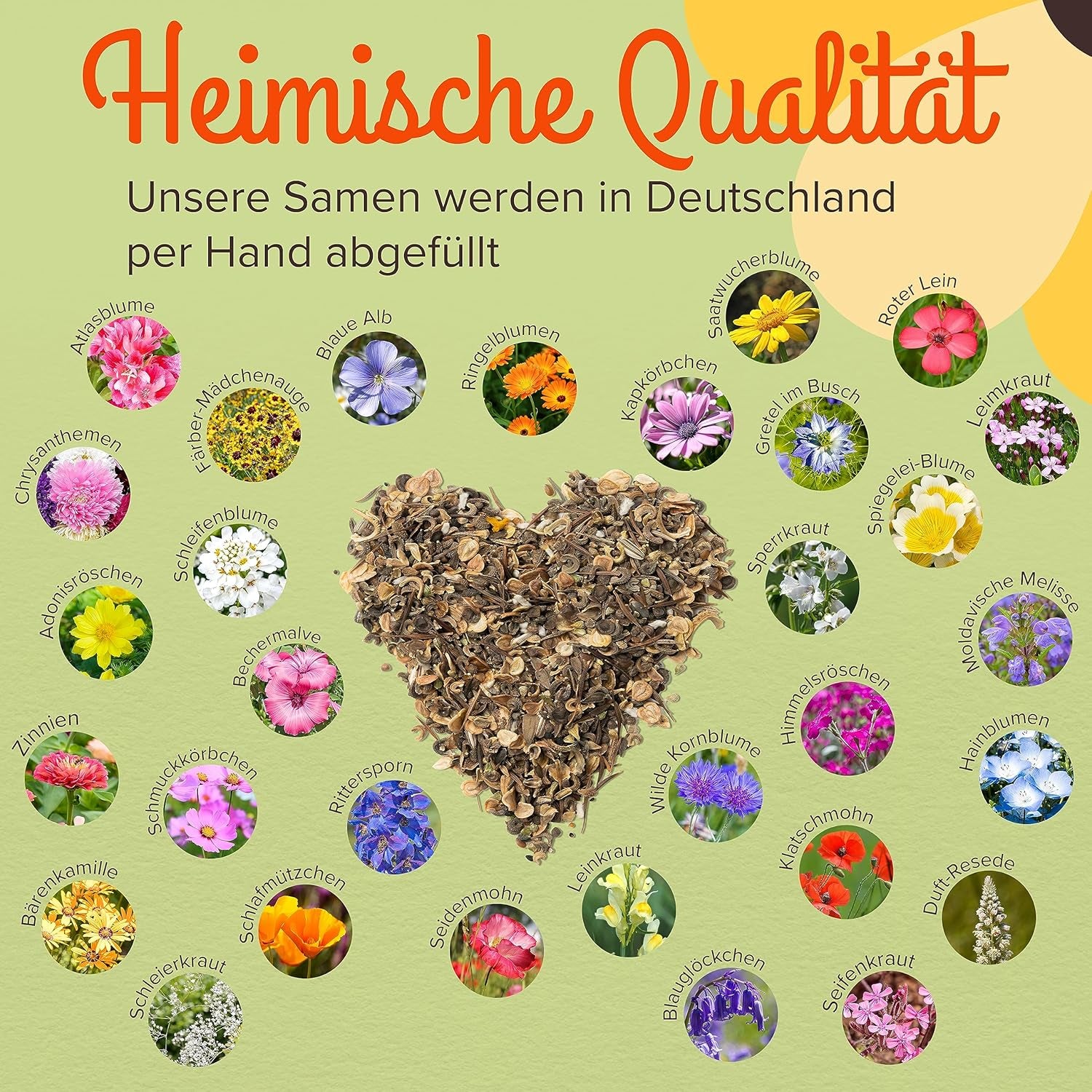 100 g Premium-Wildblumensamen für eine farbenfrohe Blumenwiese – lebendige und nektarreiche Blumensamenmischung für Bienen und Schmetterlinge (inklusive kostenlosem E-Book)
