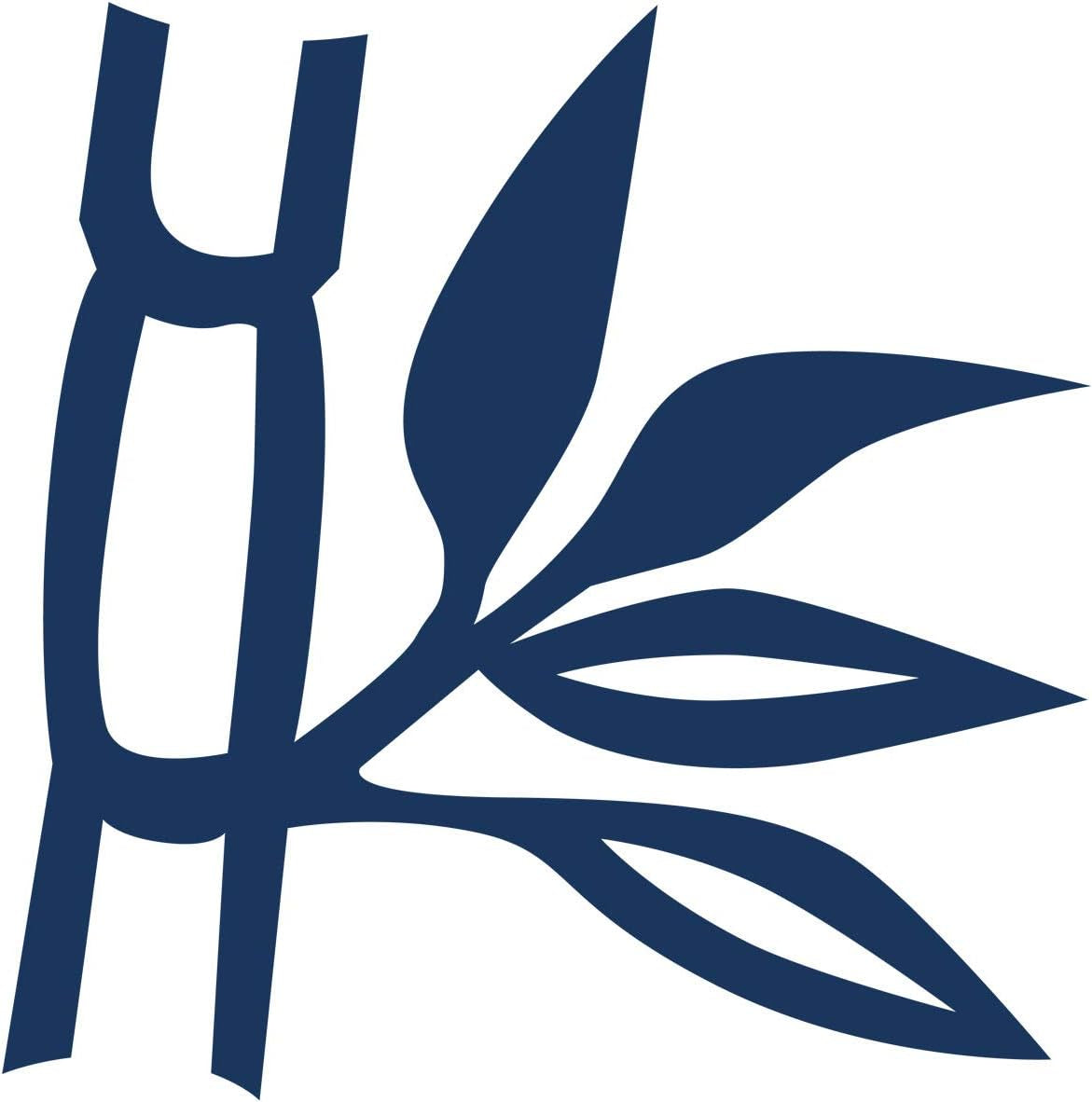 Billerbeck Jasmin Superlight Steppdecke – Sommerdecke – 135 x 200 cm – Baumwolldecke, kühlende Steppdecke – 90 % Viskose (Bambus), 10 % Polyester (Airsoft), weiß Steppdecken und Steppdecken Naty Shop