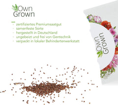 Petuniensamen: Premium-Petuniensamen für rund 400 Petunienpflanzen – Wunderschöne Petuniensamen für Balkon- und Gartenpflanzen – Blumensamen – Kriechpetuniensamen – Balkonblumen von OwnGrown