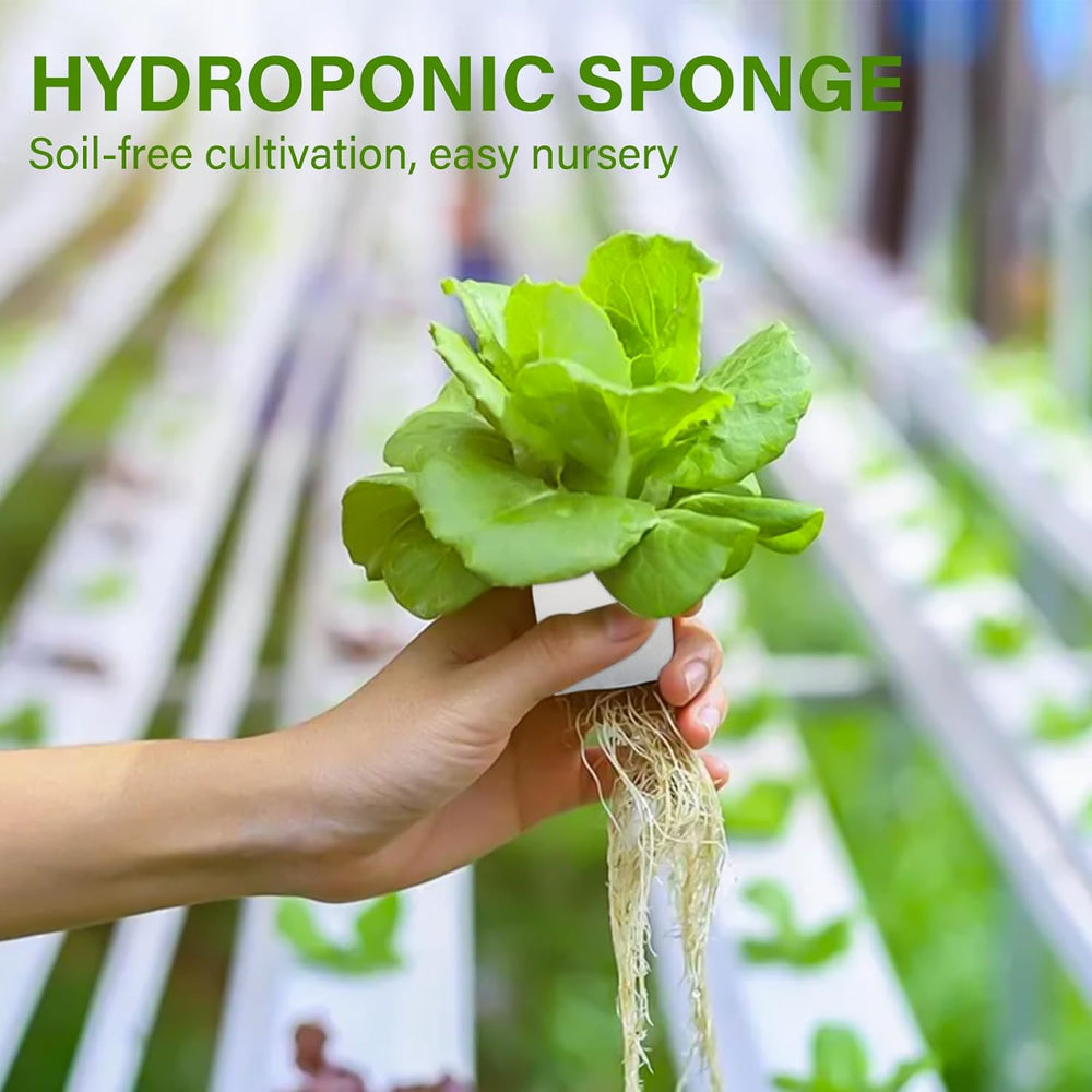 Steinwolle, Anzucht-Steinwolle, 2 Stück, Hydrokultur-Schwamm, 200 Stück nach dem Schneiden – Alternative für Gewächshaus, Samenkeimung und Heimgemüse