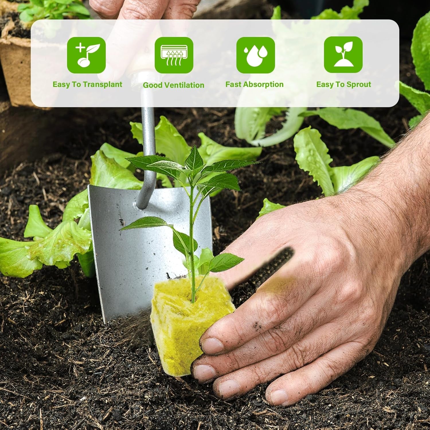 100 Stück Steinwolle Anzucht Würfel 2,5x2,5x2,5CM Rockwool Cube Anzuchtmatte Steinwolle Anbau Hydrokultur Umpflanzen für Bodenlose Anzucht Setzlinge Stecklinge Klonpflanzen