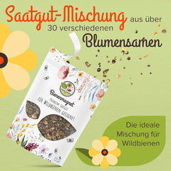 100 g Premium-Wildblumensamen für eine farbenfrohe Blumenwiese – lebendige und nektarreiche Blumensamenmischung für Bienen und Schmetterlinge (inklusive kostenlosem E-Book)