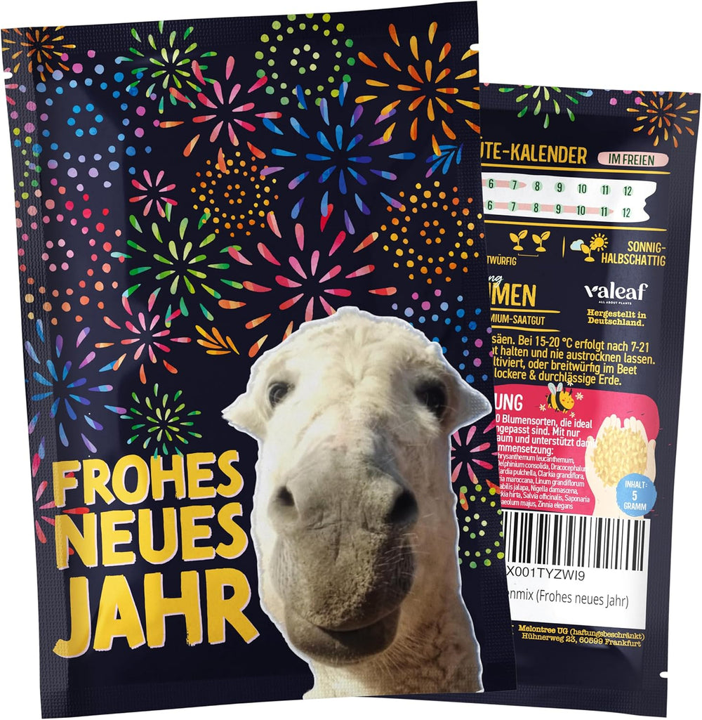 Weihnachtsbaum 2030 – Nordmann Weihnachtsbaumsamen zum Pflanzen eines Weihnachtsbaumes, ideal als Wichtelgeschenk zu Weihnachten