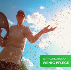 Magie der Natur 800gr. Blumensamen Mischung - Bienen Paradies - Blühfreudige Bienenweide für 150 bis 250 m²