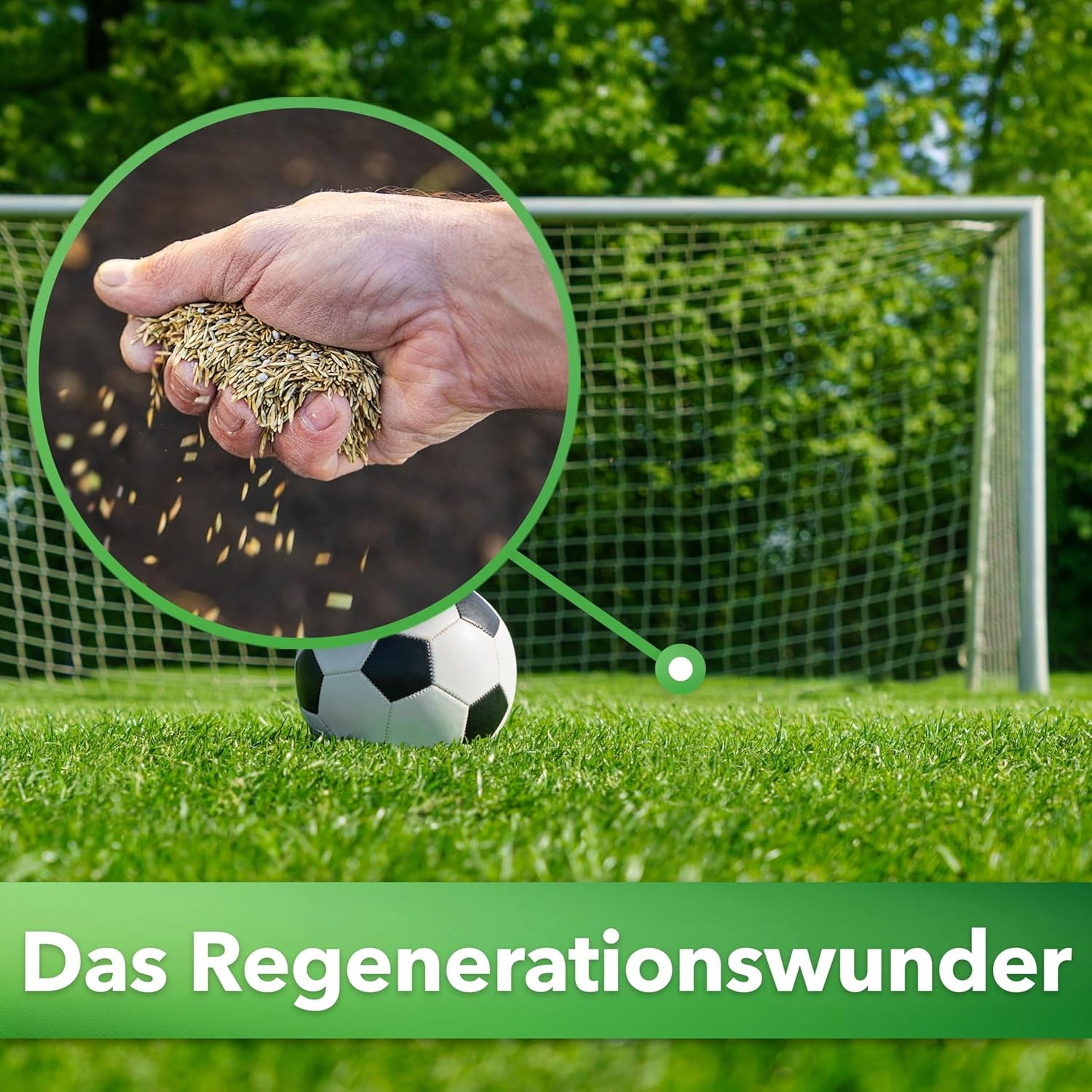 Hesa Sportrasen, 1 Kg Strapazierrasen Für Ca 40 M², Schnellkeimende Premium Rasensamen Für Starke Beanspruchung, Fussballrasen, Sportplatzrasen in Profiqualität, Auch Für Nachsaat