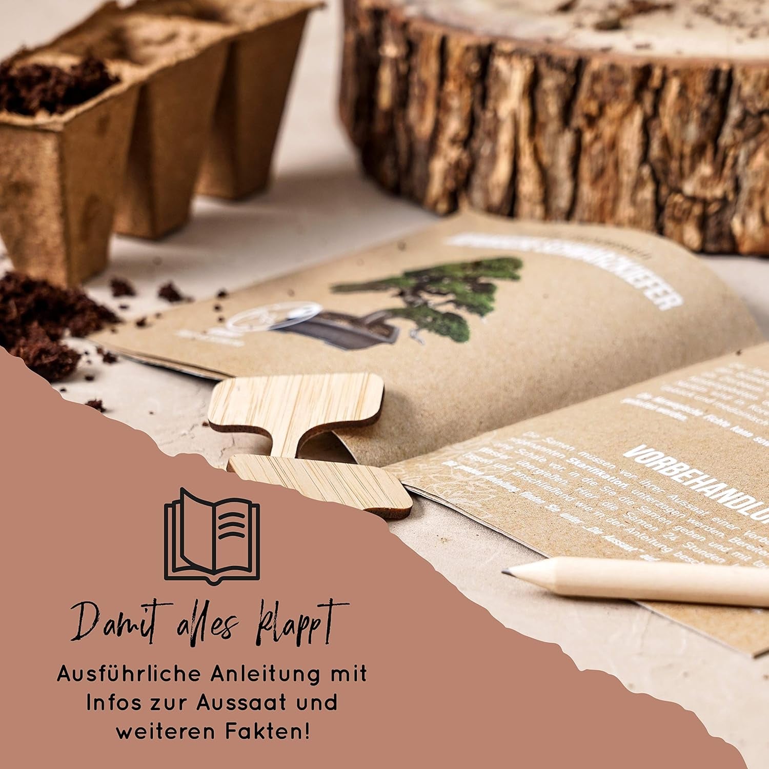 10 Bonsai-Samen aus 5 Kontinenten | Exotische Baumsamen für Ihren einzigartigen Bonsai | Starter-Kit und Pflanzenliebhaber | Unser Bonsai-Set als besondere Geschenkidee