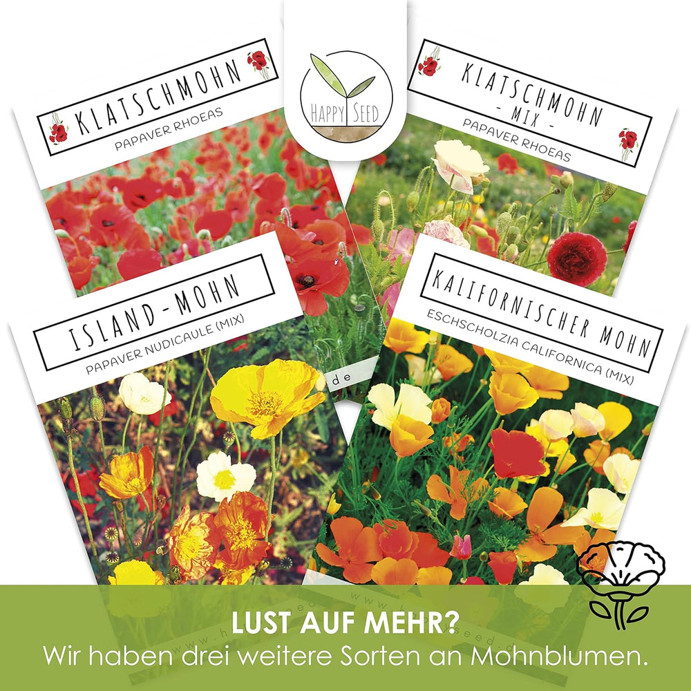 Isländischer Mohnsamen-Mix (Papaver nudicaule) – Wunderschön blühender Mohn mit langer Blütezeit für eine bunte Blumenwiese (Isländischer Mohn)