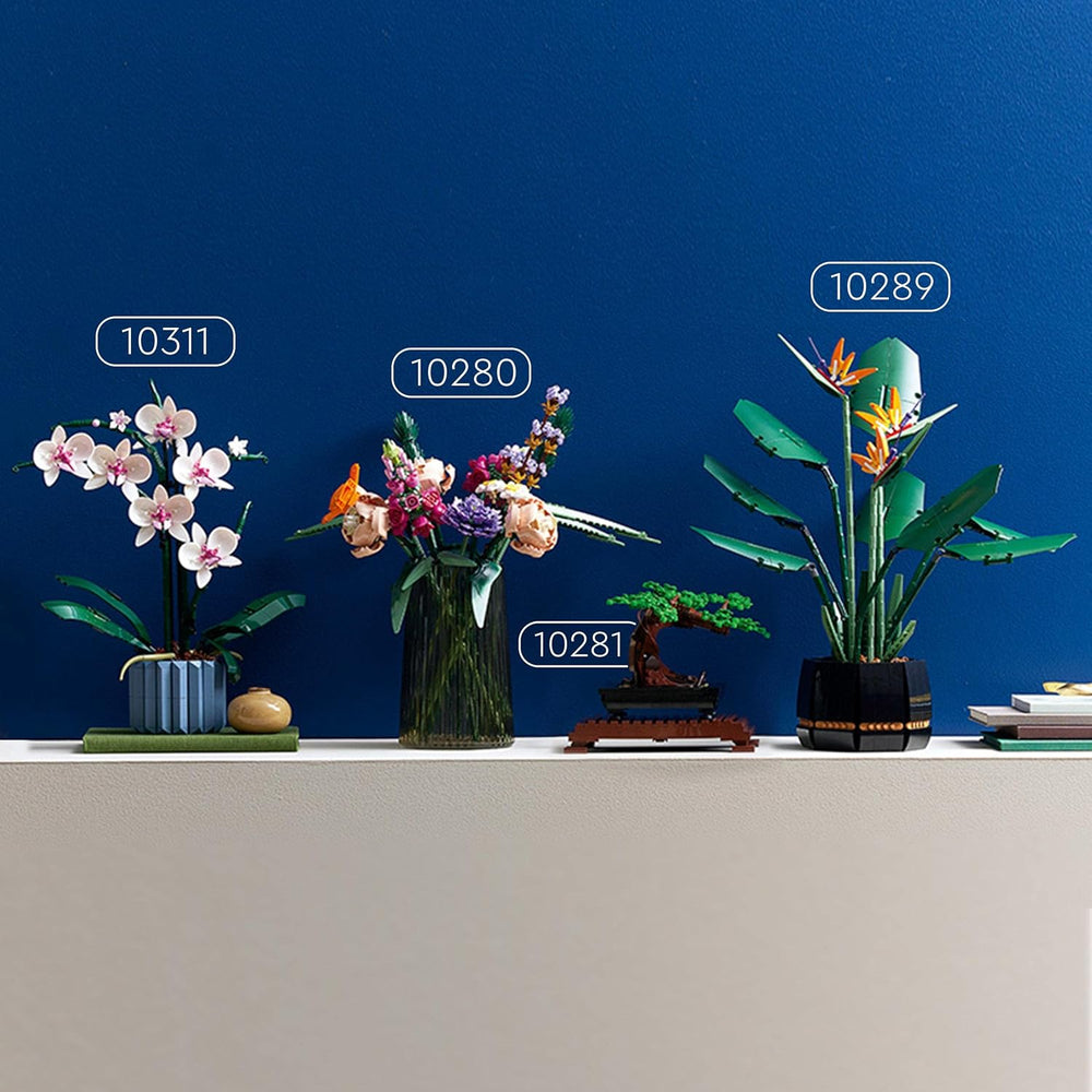 LEGO Botanicals Orchidee – Künstliches Pflanzenset mit weißen und rosa Blumen – Modellbausatz für Erwachsene – Home und Zimmer-Deko – Botanik Kollektion – Geschenke für Frauen und Männer 10311