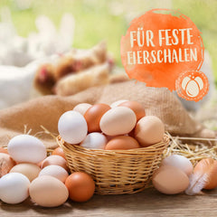 Ida Plus - GoldenEgg 200 ml - reduzierte Brucheier & Federfressen - unterstütztes Federwachstum & Federkleid - Wichtige Mineralien & Vitamine für Hühner - Beste Eierqualität bei Ihrer Hühnerhaltung