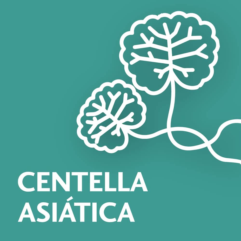 Novartis TROFOLASTIN Elasticity Brustwarzenpflegezubehör Lebensmittel und Stillen Bebe Naty Shop