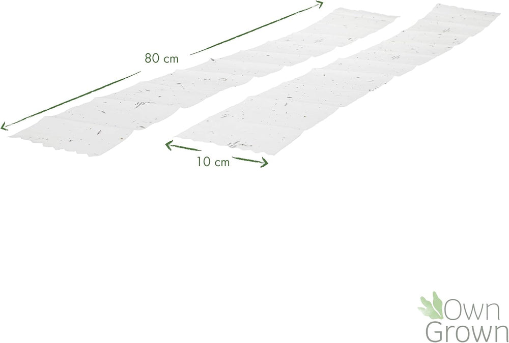 Bunte Balkonblumenmischung – 2 Premium-Balkonblumen-Samenmatten, einfach zu züchtende Sommerblumen und Wildblumensamen von OwnGrown Insect Friendly Annual Seeds