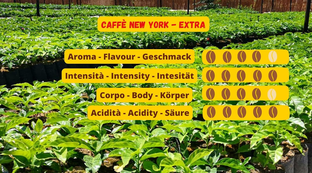 Caffè New York - EXTRA - Cafea boabe întregi - 1000g