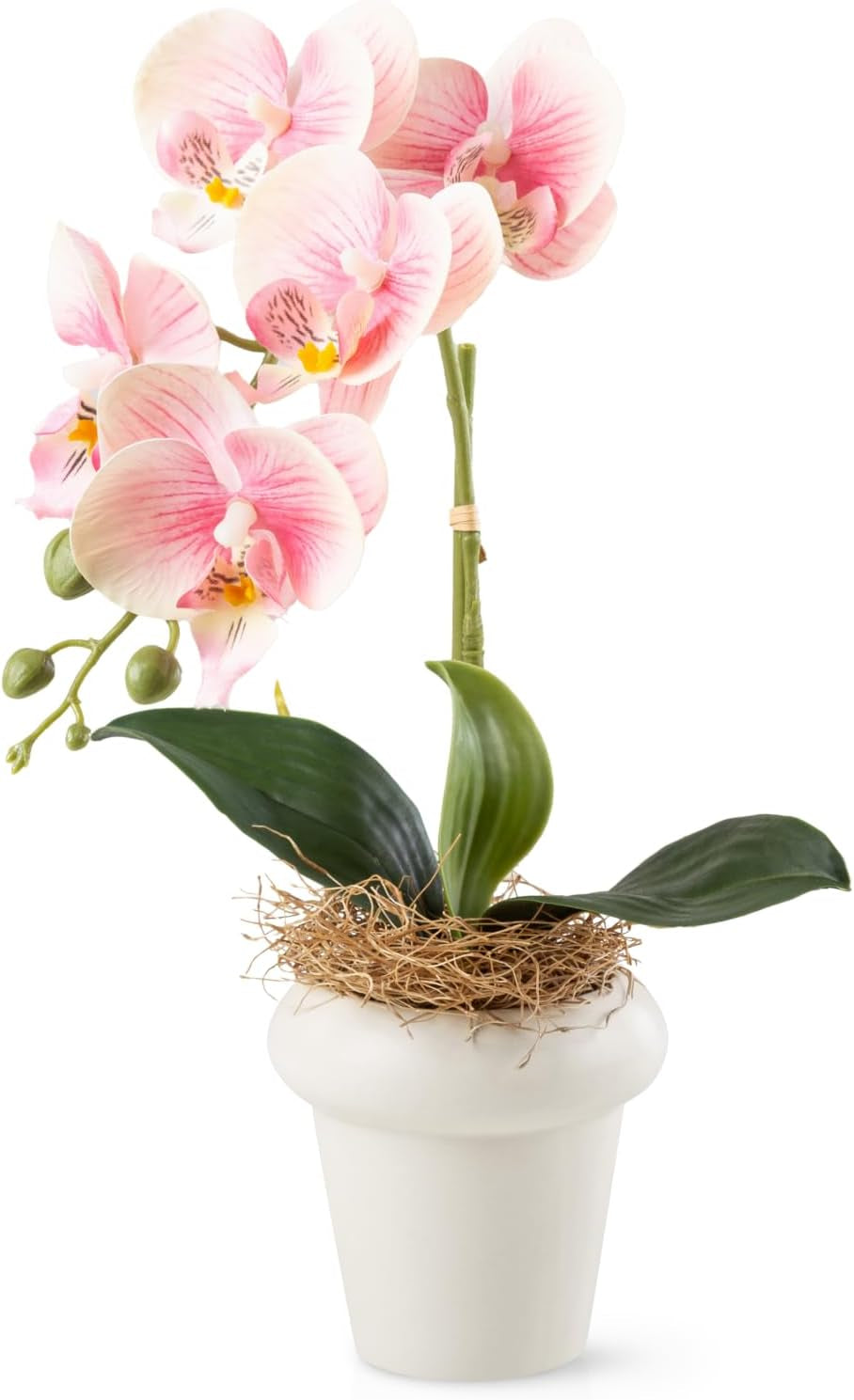 PASCH® Begonie Im Hochglanz-Keramiktopf | Kunstblumen Im Topf | Künstliche Blumen Wie Echt | Fake Blumen | Kunstblumen Wie Echt (Japanische Begonie, 3 Stück, 16Cm)