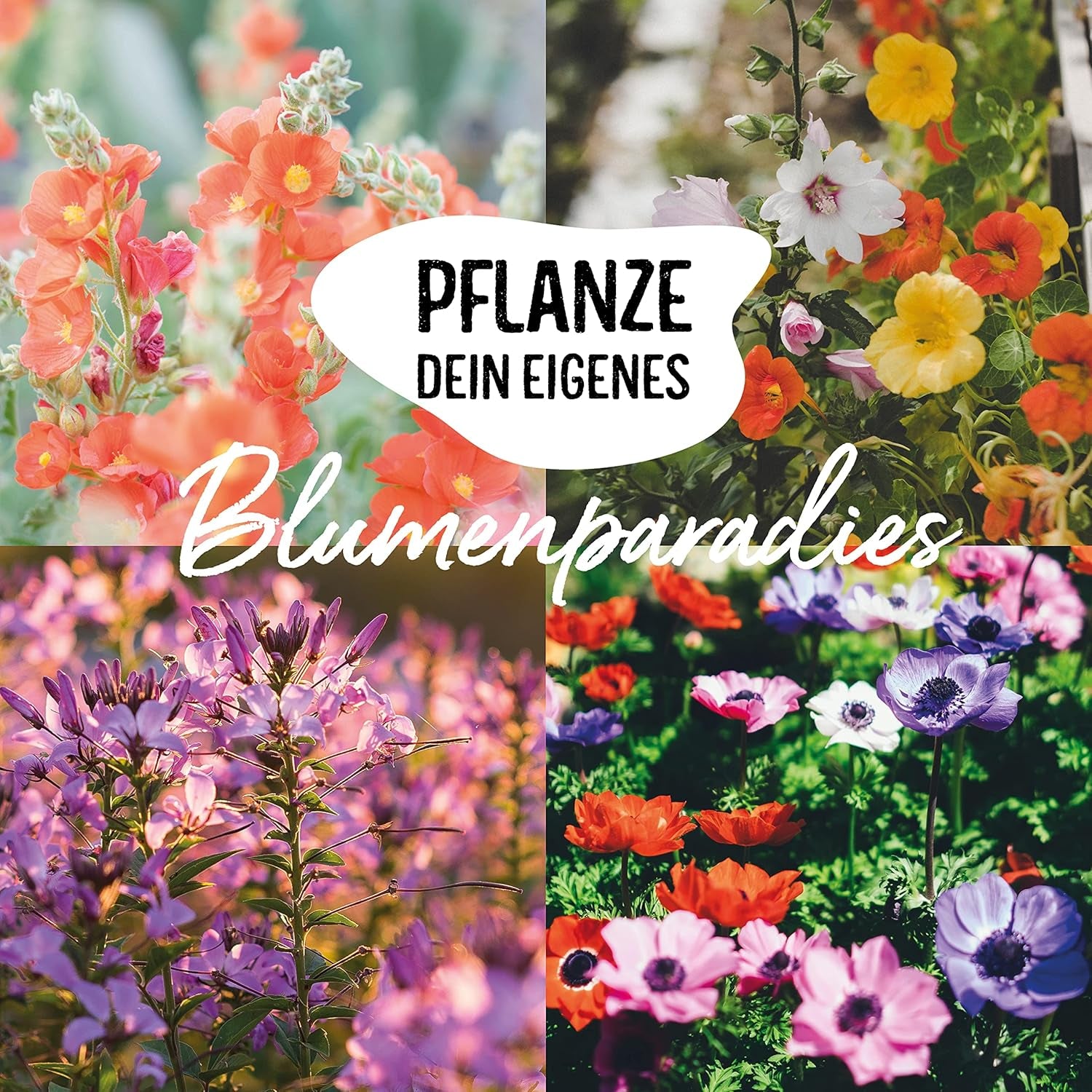 Bio-Blumensamen-Set | 12 Sorten Blumensamen | Premium-Blumensamen | Wildblumensamen-Pflanzensamen-Set | Blumensamen | Blumensamen für den Balkon | Ideales Geschenk mit Blumensamen