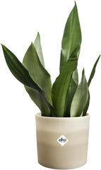 Ghiveci rotund elho Colour Gradient 16cm - pentru interior - 100% plastic reciclat - Ø 15,9 x H 14,7 - bej/bej gresie