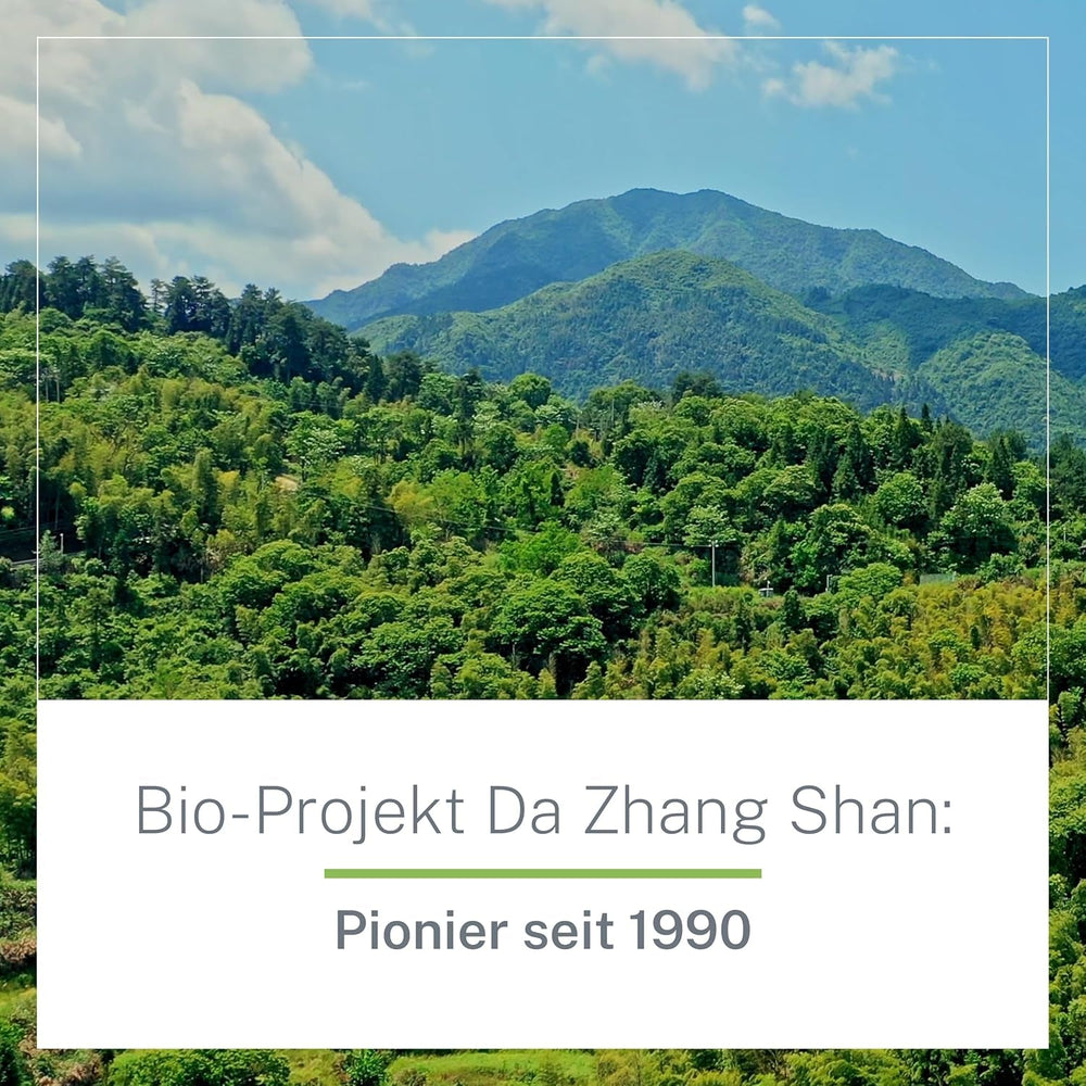 Ceai verde organic Pinhead Gunpowder vrac 1 kg – Ceai verde de înaltă calitate, organic, din China – Gust ușor afumat – Pentru gurmanzi și cunoscători de ceai – Mycupoftea