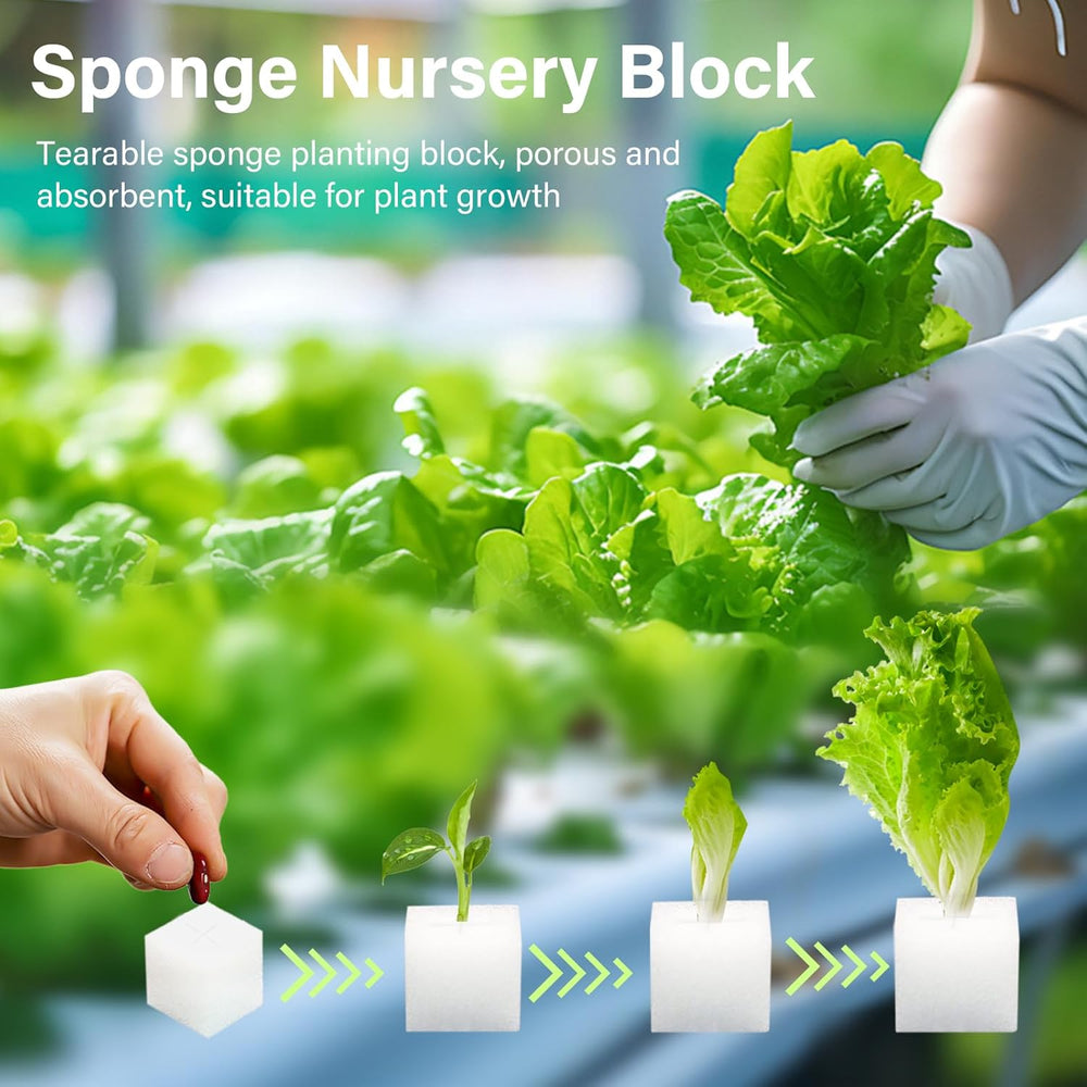 Steinwolle, Anzucht-Steinwolle, 2 Stück, Hydrokultur-Schwamm, 200 Stück nach dem Schneiden – Alternative für Gewächshaus, Samenkeimung und Heimgemüse