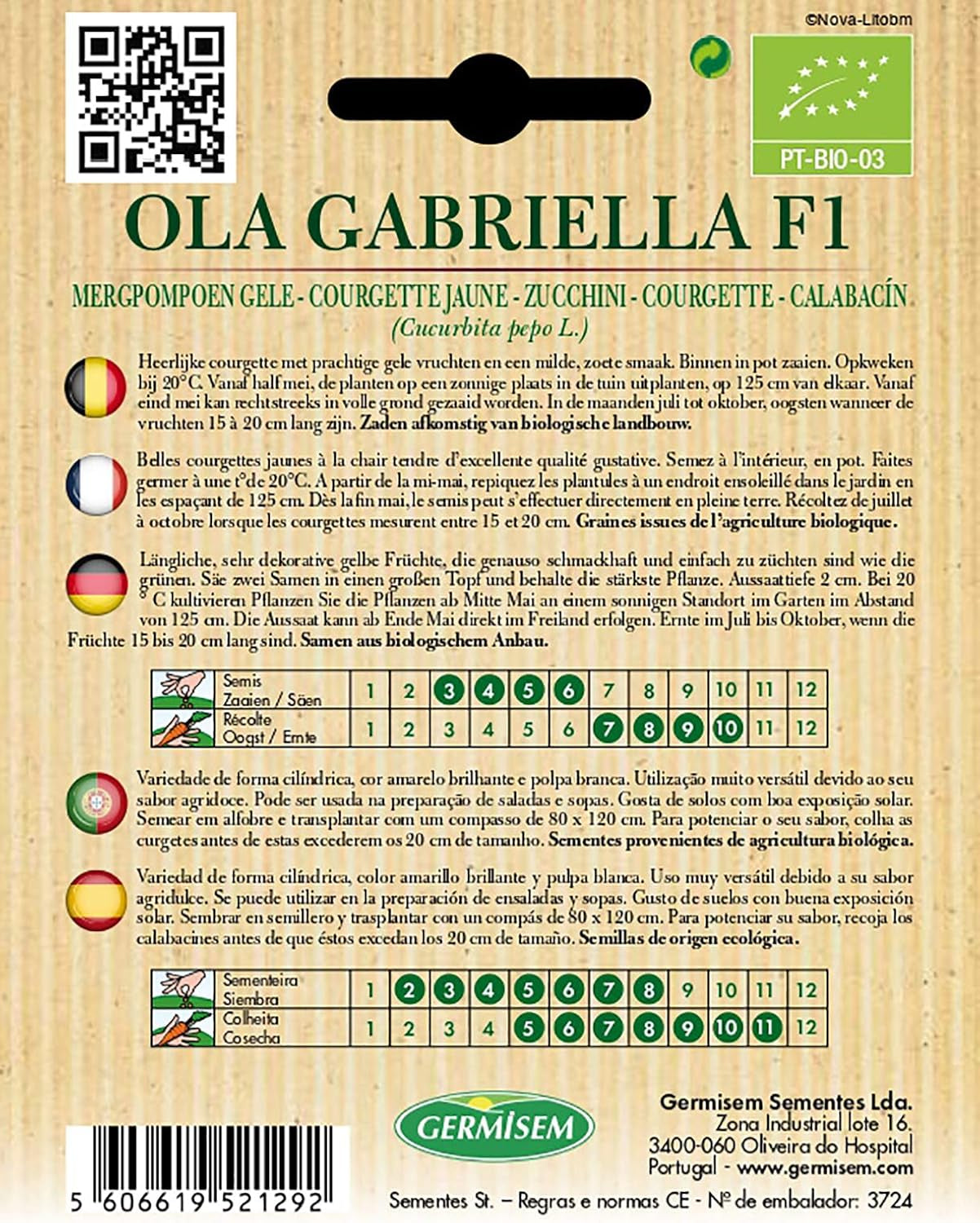 Zucchini OLA GABRIELLA, ECBIO4016