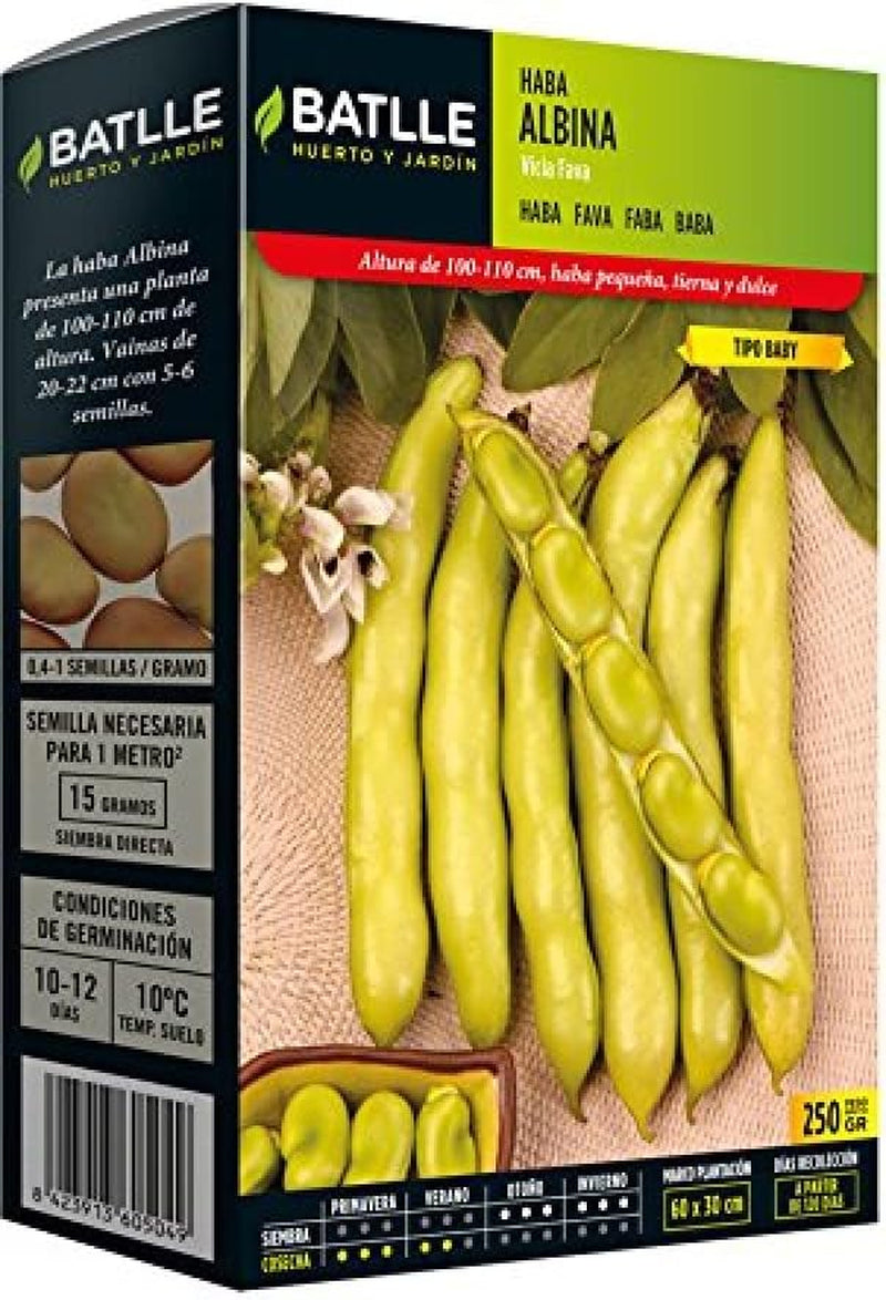 Samen Batlle – Haba Frühe Bohne Carmen, Lang 1 Kg