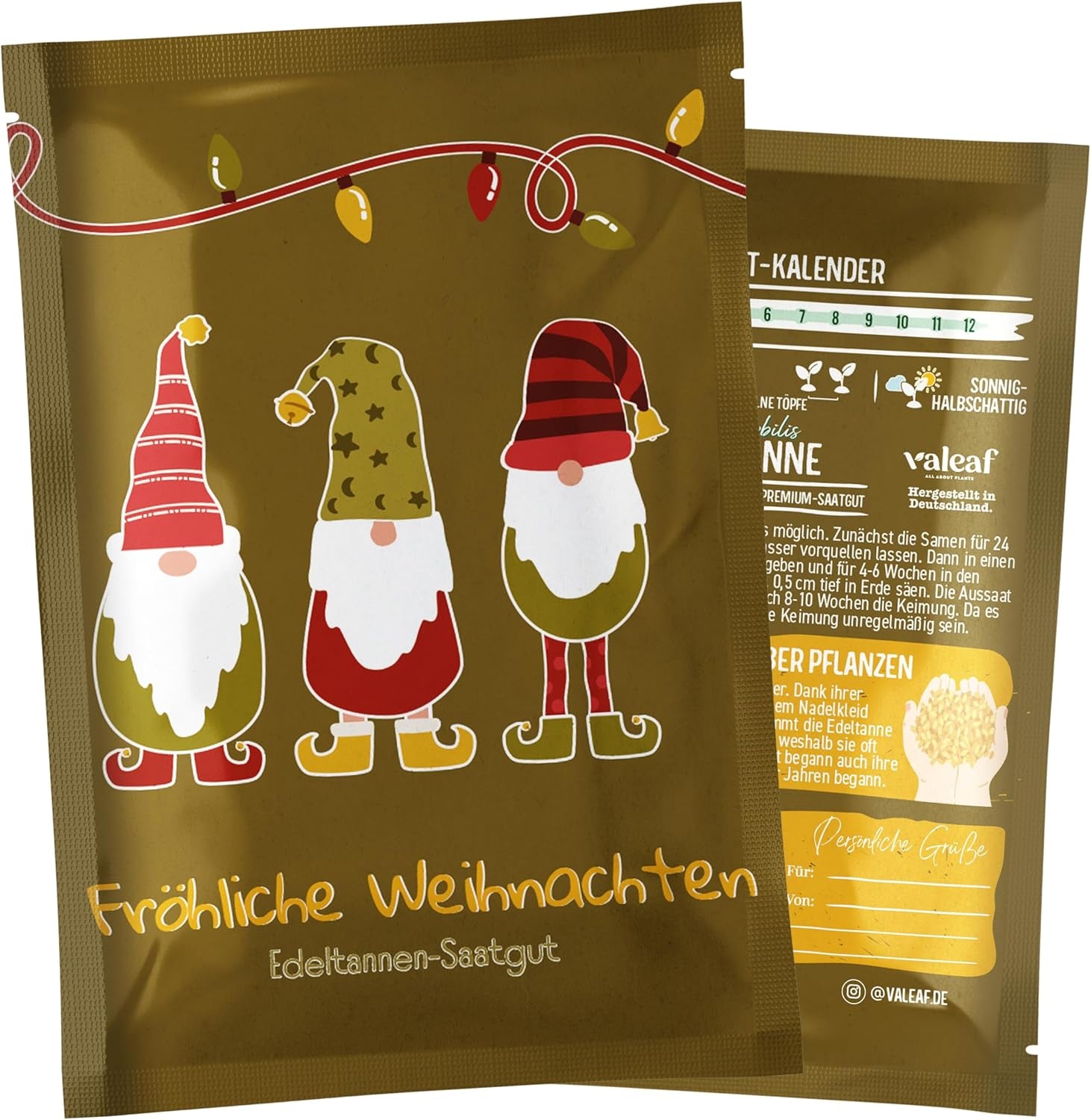 Weihnachtsbaum 2030 – Nordmann Weihnachtsbaumsamen zum Pflanzen eines Weihnachtsbaumes, ideal als Wichtelgeschenk zu Weihnachten