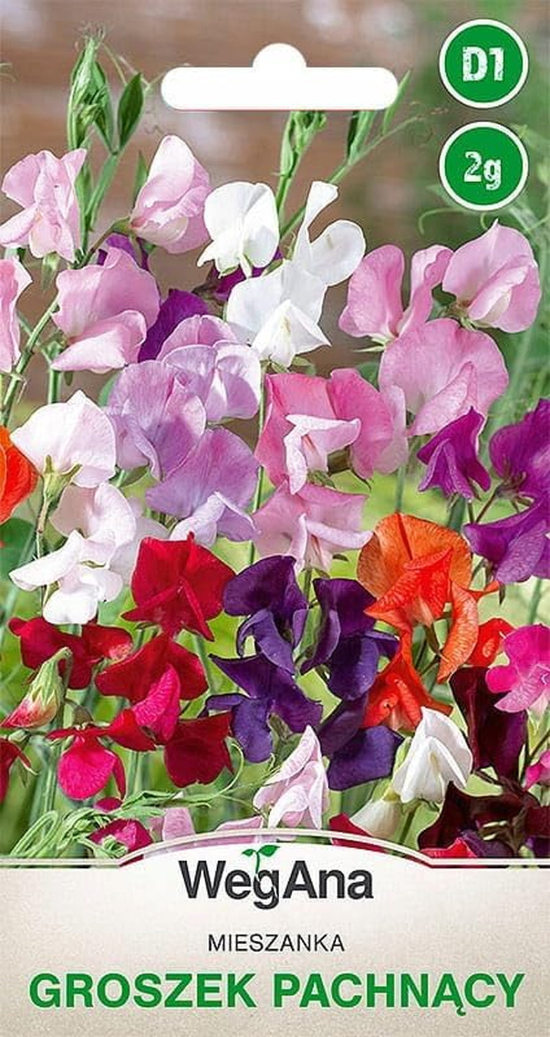 Cosmos Sensation Mix 1g Samen, Cosmos Mix Sommerblumen, Gartenpflanzen Balkonpflanzen, Blumensamen