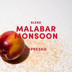 Malabar Monsoon Espresso Blend - 100 % Arabica aus Indien, Brasilien & Guatemala - säurearm & ausgewogen mit Nektarine, Honig & Haselnuss - ganze Bohnen, medium dark roast - 1kg