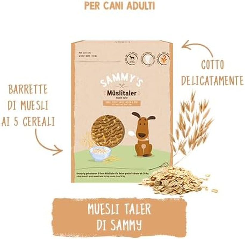 Sammy's Müsli-Münzen | Knusprig gebackene Snacks für Hunde | 5 Körner-Müsli-Münzen für Ihren großen pelzigen Freund (30 kg+) | 1 kg