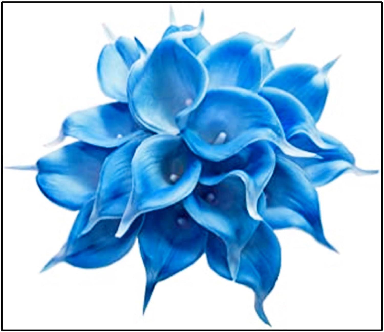 Lebende Pflanzen,Mehrjährige Blumenzwiebel ist winterhart, Winterhart pflanzen, Mysteriöse magische Glühbirne, Blumenzwiebel Mix-4 Oxalis Triangularis Blumenzwiebeln