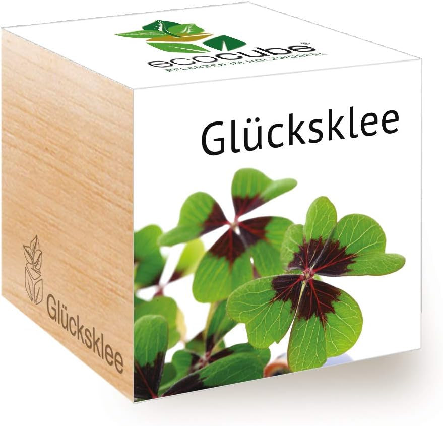 Feel Green Ecocube Weihnachtsbaum/Xmas Tree, Nachhaltige Geschenkidee (100% Eco Friendly), Grow Your Own/Anzuchtset, Pflanzen Im Holzwürfel, Made in Austria