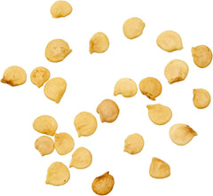 Bio Samen - Paprika Reus (300 Samen - Bio)
