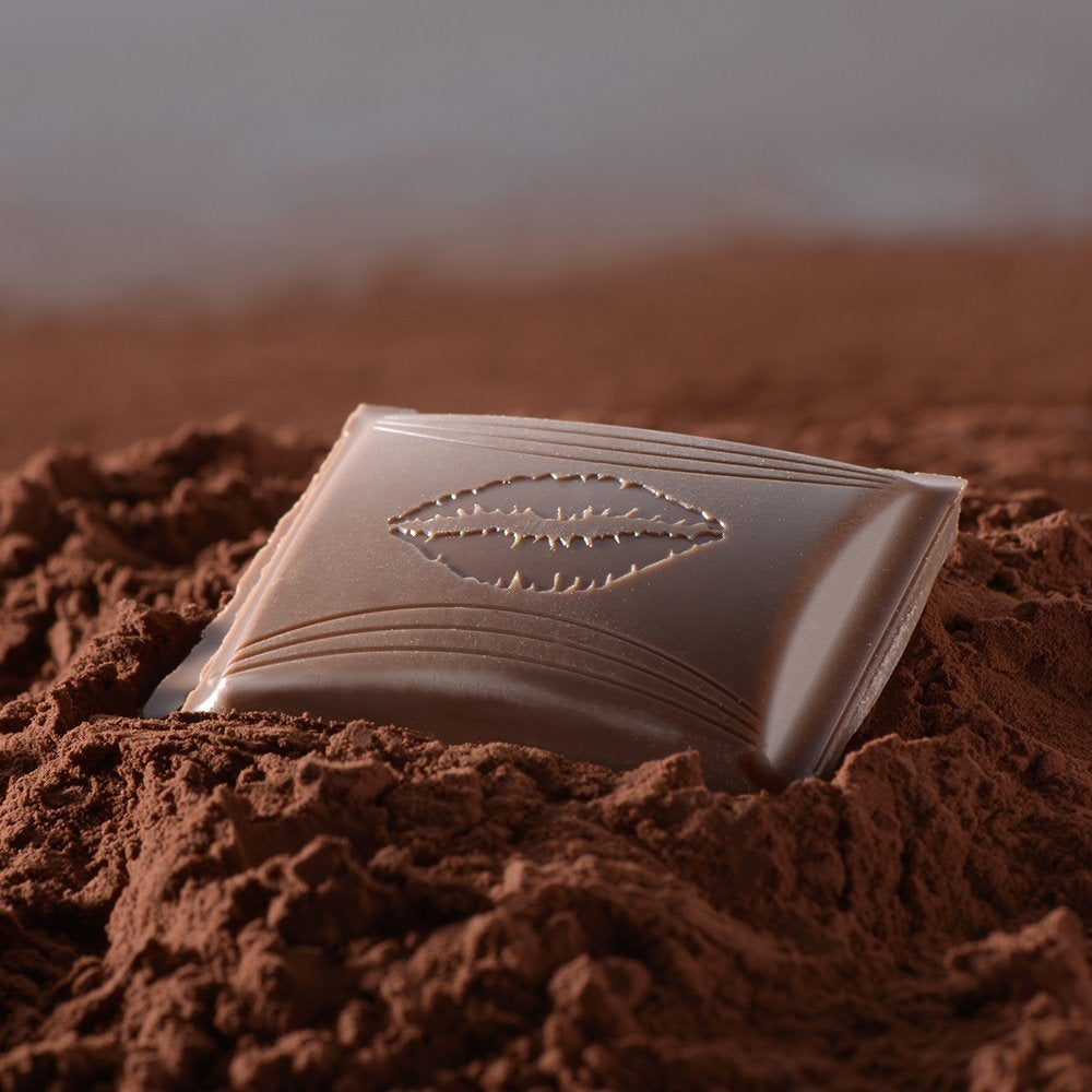 HALLO gesalzene Karamellschokolade | Riegel 100g | Milchschokolade mit Salzkaramellfüllung | Schokoriegel | Schokoladengeschenk (5er-Pack)