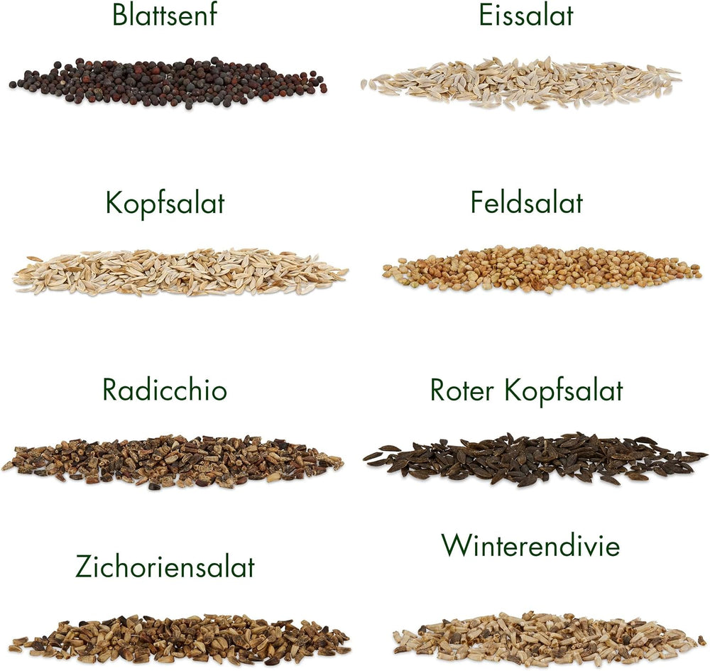 Salatsamen: Set mit 8 Sorten Salatsamen für Garten und Balkon – Salatsamen, Senfblatt, Feldsalat (winterhart), Radicchio, Endiviensamen, Chicorée – Salatgemüsesamen von OwnGrown